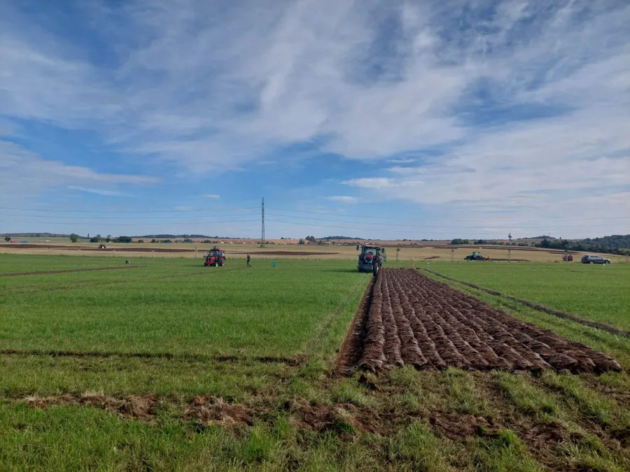 Field panorama